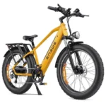 ENGWE E26 Elektrofahrrad - 140 km Reichweite - 250W Motor