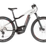 HAIBIKE HARDNINE 9 29" E-Mountainbike Grau/Schwarz 2022